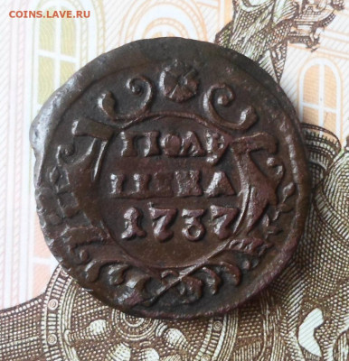 Полушка 1737г до 10.12.20 - SAM_4414.JPG
