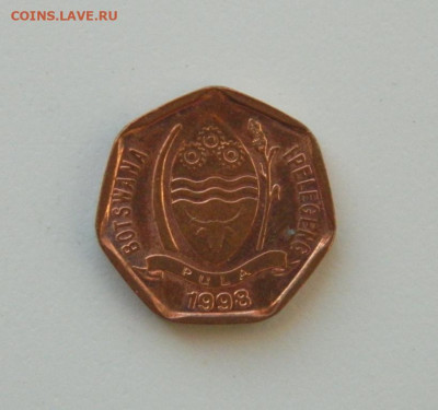 Ботсвана 5 тхебе 1998 г. (Фауна). до 10.12.20 - DSCN4125.JPG