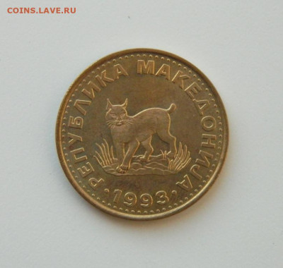 Македония 5 динаров 1993 г. (Фауна) до 10.12.20 - DSCN4112.JPG