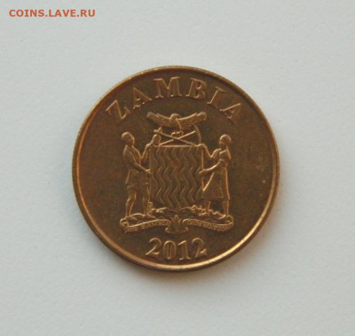 Замбия 50 нгве 2012 г. (Фауна) до 10.12.20 - DSCN4072.JPG