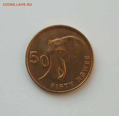 Замбия 50 нгве 2012 г. (Фауна) до 10.12.20 - DSCN4073.JPG
