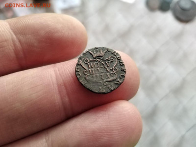 Полушка сибирь 1771 до 10.12.2020 - 1771 (12) - копия