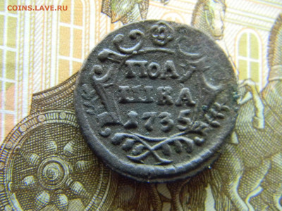 полушка 1735  до 10.12 в 22.00 по Москве - Изображение 8271