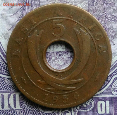 Восточная Британская африка 5 центов 1956 года 11.12.2020 - IMG_20201208_090101