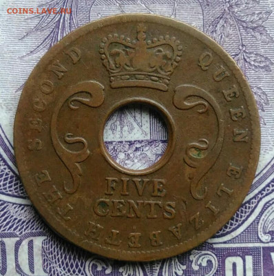 Восточная Британская африка 5 центов 1956 года 11.12.2020 - IMG_20201208_090121