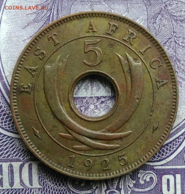 Восточная Британская африка 5 центов 1925 года 11.12.2020 - IMG_20201208_090136