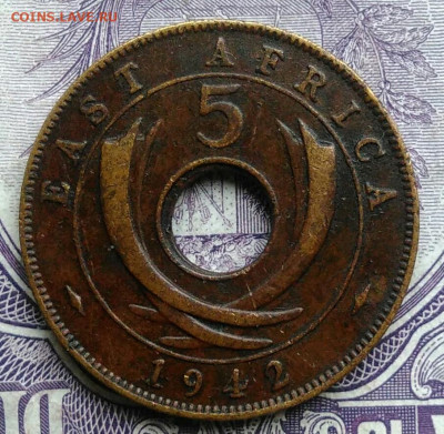 Восточная Британская африка 5 центов 1942 года 11.12.2020 - IMG_20201208_090752