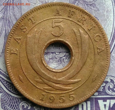 Восточная Британская африка 5 центов 1955 года 11.12.2020 - IMG_20201208_090826