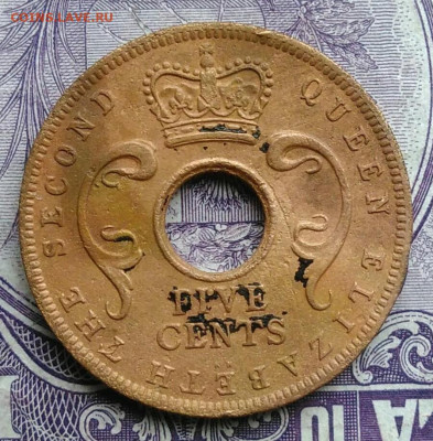 Восточная Британская африка 5 центов 1955 года 11.12.2020 - IMG_20201208_090841