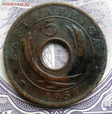 Восточная Британская африка 5 центов 1957 года 11.12.2020 - IMG_20201208_091136