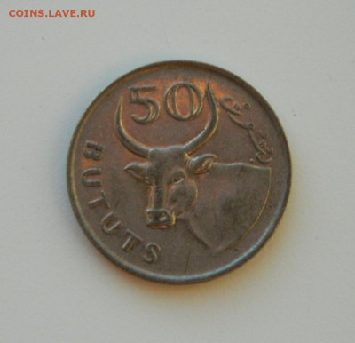 Гамбия 50 бутут 1971 г. (Фауна). до 14.12.20 - DSCN4152.JPG