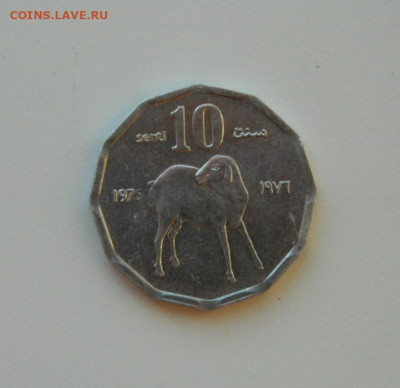 Сомали 10 центов 1976 г. (Фауна)  до 14.12.20 - DSCN4144.JPG