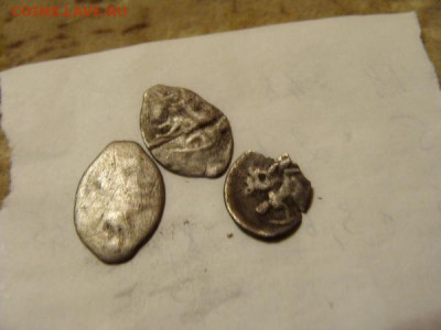 3 чешуйки - DSC02907.JPG