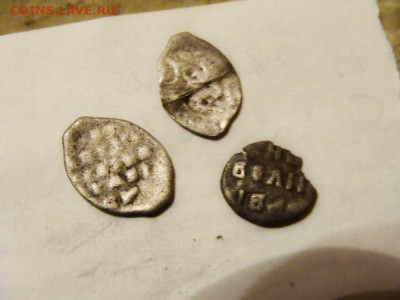 3 чешуйки - DSC02906.JPG