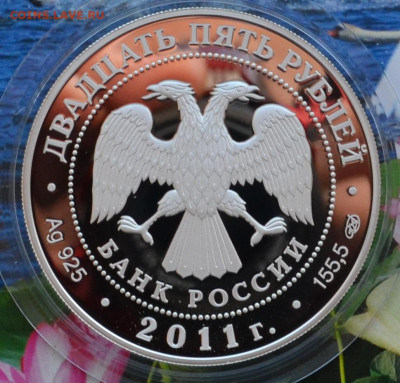 25 рублей Муром - DSC_0039.JPG