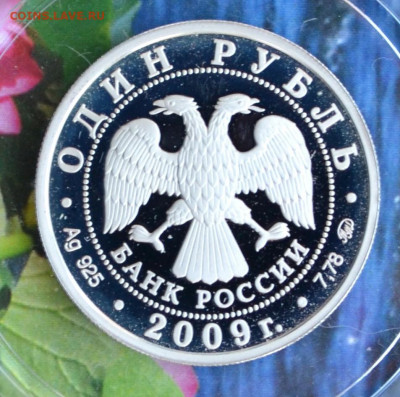 1 рубль ВВС 3 - DSC_0135.JPG