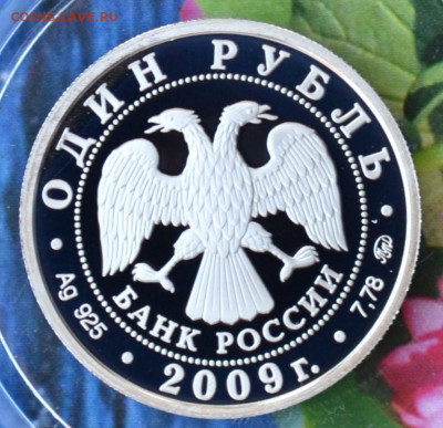 1 рубль ВВС 3 - DSC_0125.JPG