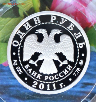 1 рубль РВСН - DSC_0082.JPG