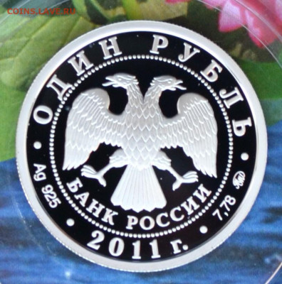 1 рубль РВСН - DSC_0078.JPG