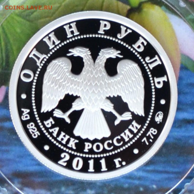 1 рубль РВСН - DSC_0074.JPG