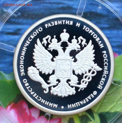 1 рубль Министерства - DSC_0152.JPG