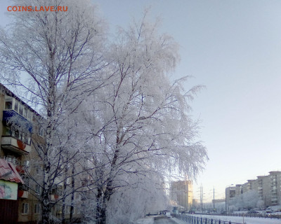 ФОТО - просто фото. Те что получились удачными. - 2020-12-11 10-47-17