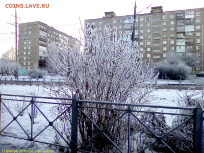 ФОТО - просто фото. Те что получились удачными. - 2020-12-11 10-47-04