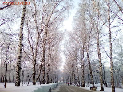 ФОТО - просто фото. Те что получились удачными. - 2020-12-11 10-33-19