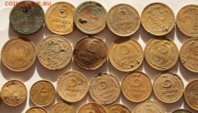 Советы ранние  50 шт.до до 17.12.20 по 21.00 МСК - IMG_7818.JPG