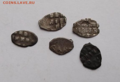 Чешуя Петра 1 - 5 шт. - чешуя 1