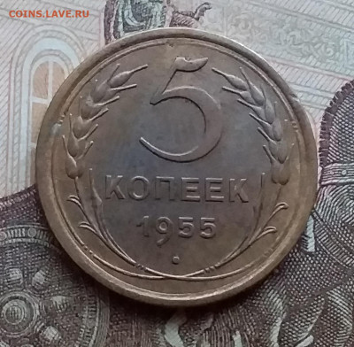 5 копеек 1955. До 17.13.20 в 22.00 - 20201214_142921