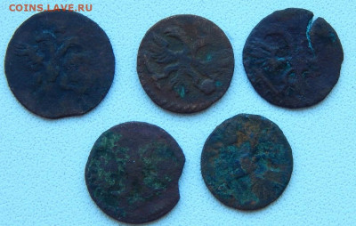 5 копеек 1778 ем,ВРП-5 шт. до 17.12.20 22 00 мск - DSCN4536.JPG