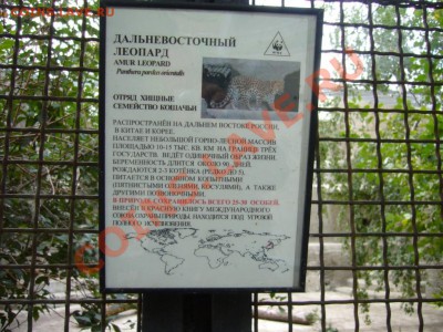 Московский зоопарк. - P1080949.JPG