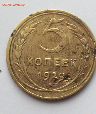5 коп 1929,31,52,54  (9,20) 17.12.20 - txEiX2YFAXQ