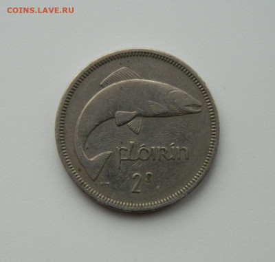 Ирландия 1 флорин 1965 г. (Фауна). до 21.12.20 - DSCN4364.JPG