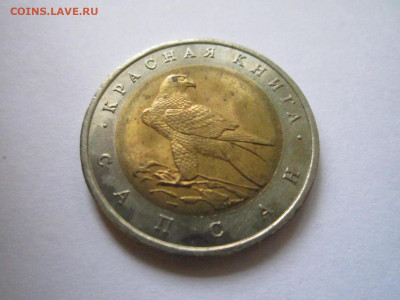 КК САПСАН 50 руб 1994 до 21.12.20 в 22:30 - IMG_3175.JPG