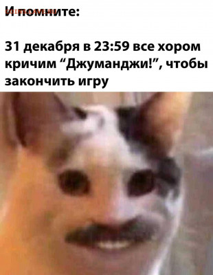 юмор - gMTE8iQ7kZk