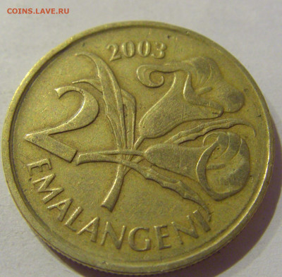 2 эмалангени 2003 Свазиленд №1 23.12.2020 22:00 МСК - CIMG7345.JPG