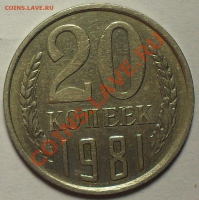 20 копеек 1981г Хребет. До 3.10.11г 22.00 по МСК - SDC13104.JPG