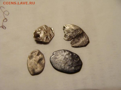 4 чешуйки по лому - DSC02923.JPG