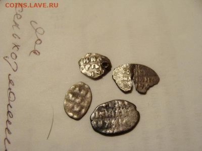 4 чешуйки по лому - DSC02922.JPG