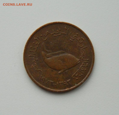 ОАЭ 5 филсов 1973 г. (Фауна). до 24.12.20 - DSCN4366.JPG