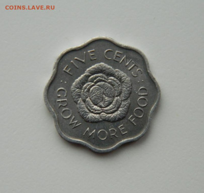 Британские Сейшельские острова 5 центов 1975 г.(ФАО)до 24.12 - DSCN4368.JPG