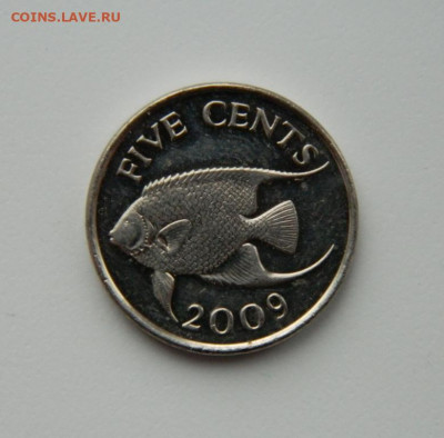 Бермудские острова 5 центов 2009 г. (Фауна). до 24.12.20 - DSCN4398.JPG