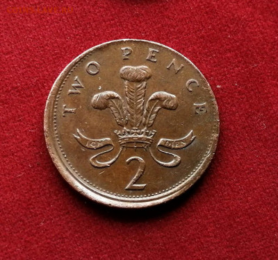 2 пенса 1991 года Великобритания - Гриб? - 06