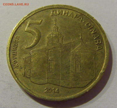5 динар 2014 Сербия №1 25.12.2020 22:00 МСК - CIMG8167.JPG