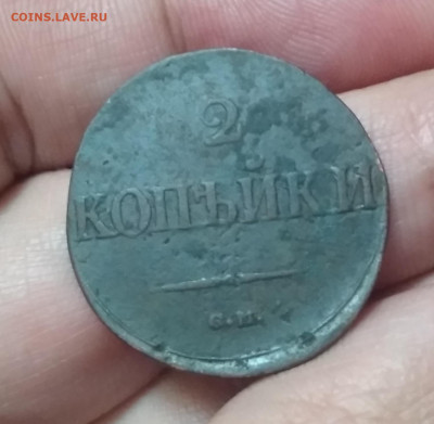 Конкурс-блиц для знатоков! Пристойный-ой на имир в. - IMG_20201220_170245