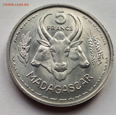 Французский Мадагаскар 5 франков 1953. Сохран! UNC - 4