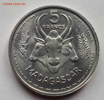Французский Мадагаскар 5 франков 1953. Сохран! UNC - 3