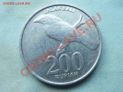 С РУБЛЯ ИНДОНЕЗИЯ 200рупий ВОРОНА до 5.10.11 в 22-00 - MEMO0005.JPG